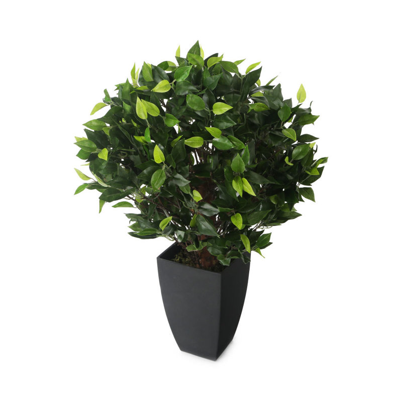 Wrought Studio Artificial Floor Ficus Plant in Pot Wayfair